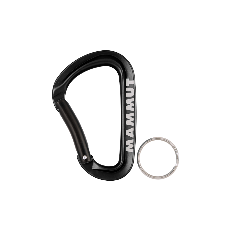 Mammut Mini Carabiner Workhorse Keylock L 2810-00320-0001_main2