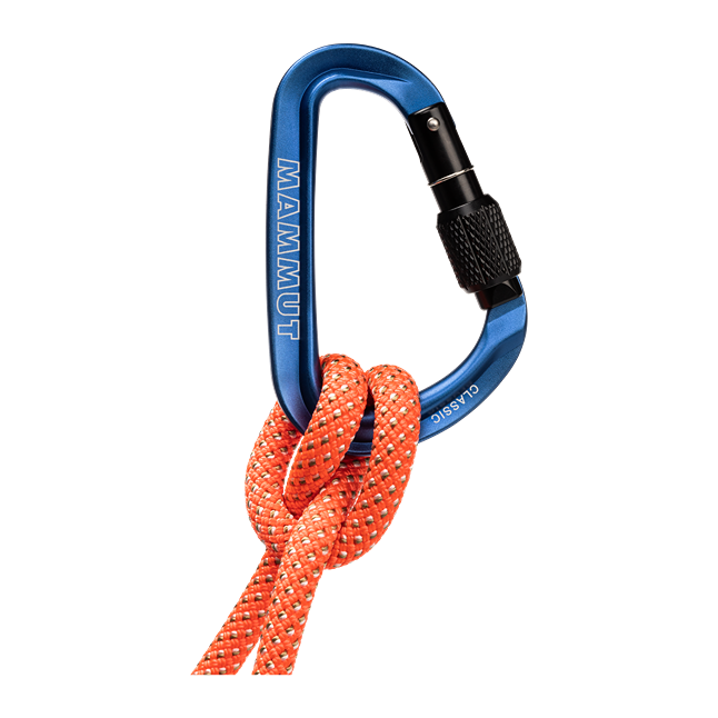 Classic HMS Screwgate Carabiner 2040-02470-1550_main2