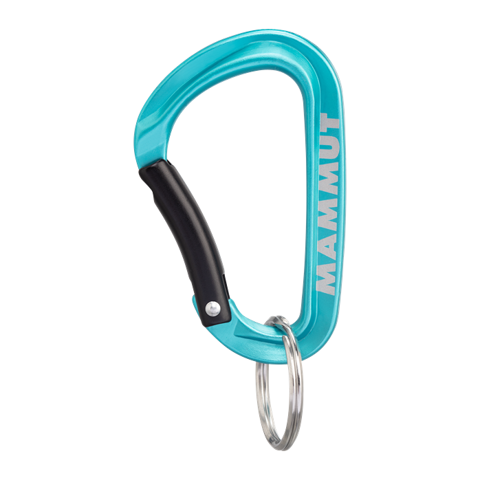 Mammut Mini Carabiner Classic Keylock S