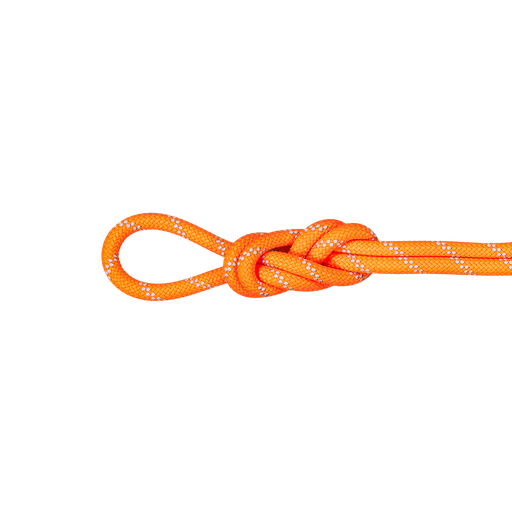 9.5 Alpine Dry Rope