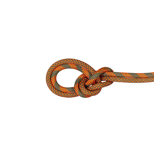 9.5 Crag Dry Rope